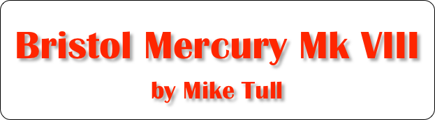 Bristol Mercury Mk VIII
by Mike Tull
