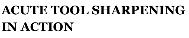 ACUTE TOOL SHARPENING IN ACTION
